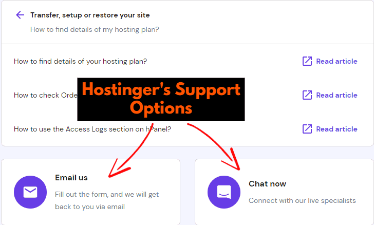 Hostinger's Support Options